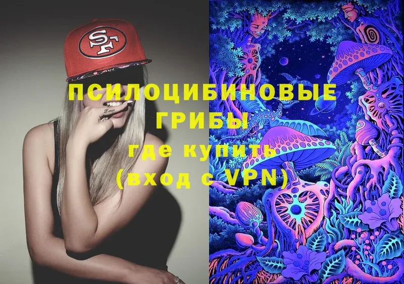 Галлюциногенные грибы Psilocybe Белоозёрский